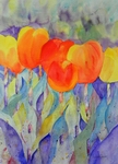 Click to enlarge Tulips!!